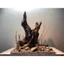 Layout Biotope, Blackwater Setup Sẵn | Làm Layout Theo Yêu Cầu