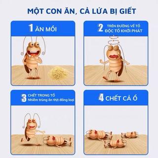 Bột diệt gián sinh học – diệt tận gốc, ít mùi – dùng trong nhà