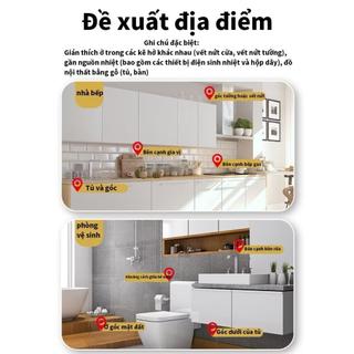 Ninger Mồi Gián Ninger Bẫy Gián Gia Đình Mồi Nhử Gián Hiệu Quả 34 Năm Chuyên Diệt Côn Trùng 6 Năng Cấp