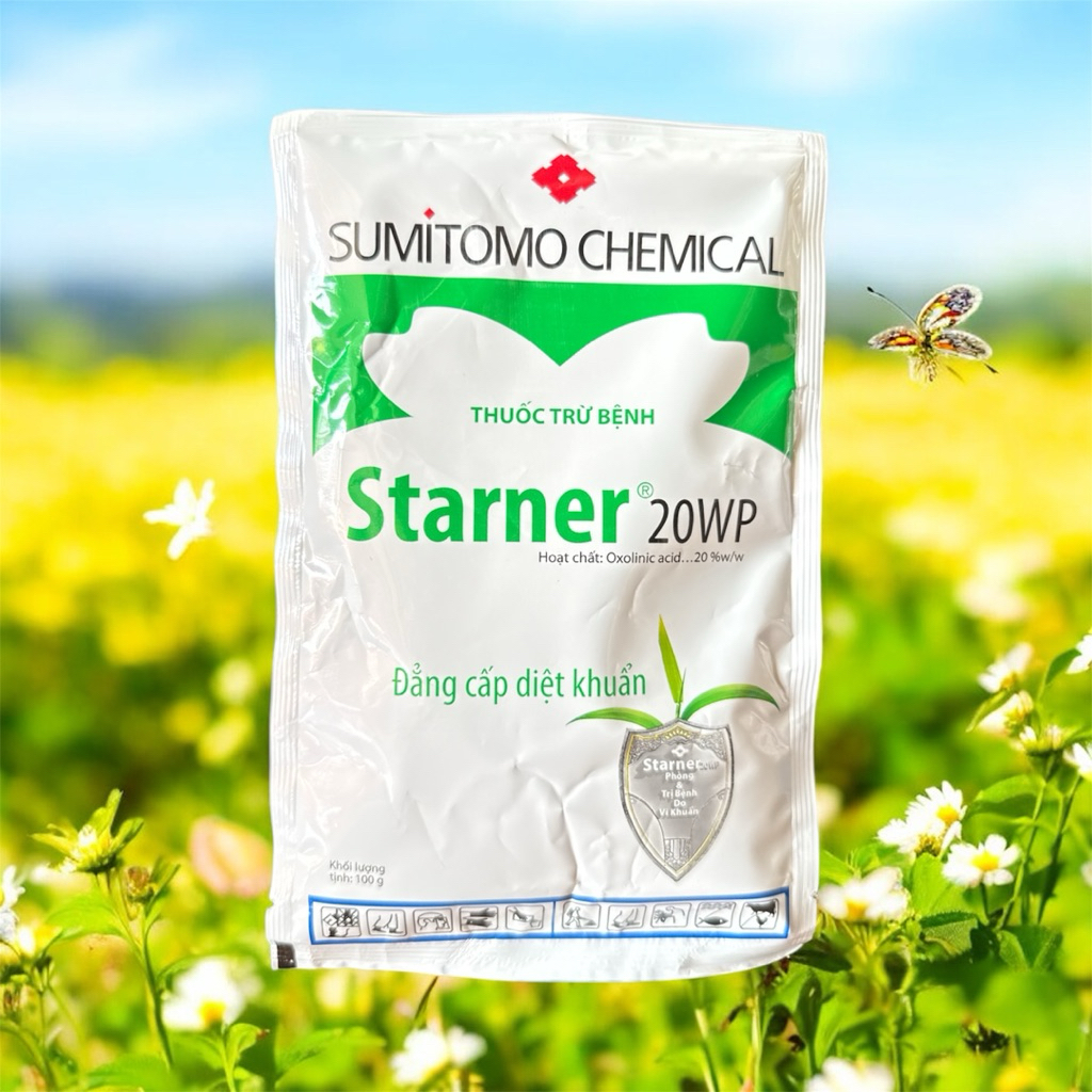Starner - Giá Tốt, Miễn Phí Vận Chuyển, Đủ Loại | Shopee Việt Nam