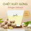 CHIẾT XUẤT GỪNG (GINGER EXTRACT) – NGUYÊN LIỆU MỸ PHẨM HÀN QUỐC