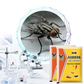 Thuốc Diệt Ruồi Cấp Tốc Hiệu Quả Nhanh An Toàn Cho Sức Khỏe Gói 25g Tiết Kiệm Chi Phí Dùng Cho Gia Đình Quán Ăn Nhà Hàng