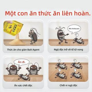 Bả Diệt Gián Đức Cao Cấp - Công Nghệ Lây Truyền Độc Tố: Diệt Sạch Tổ Gián Chỉ Trong 48 Giờ!