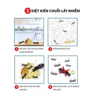Bả Diệt Kiến Hiệu Quả Cao Tiêu Diệt Tận Gốc, An Toàn, Không Mùi, Hiệu Quả Lâu Dài