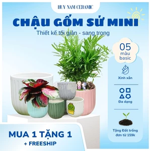 Chậu Gốm Sứ Dáng Mochi Kẻ Sọc_Chậu Trồng Cây Cảnh Mini HUY NAM_ Độc Đáo_Chất Liệu Bền Đẹp_Đa Dạng.