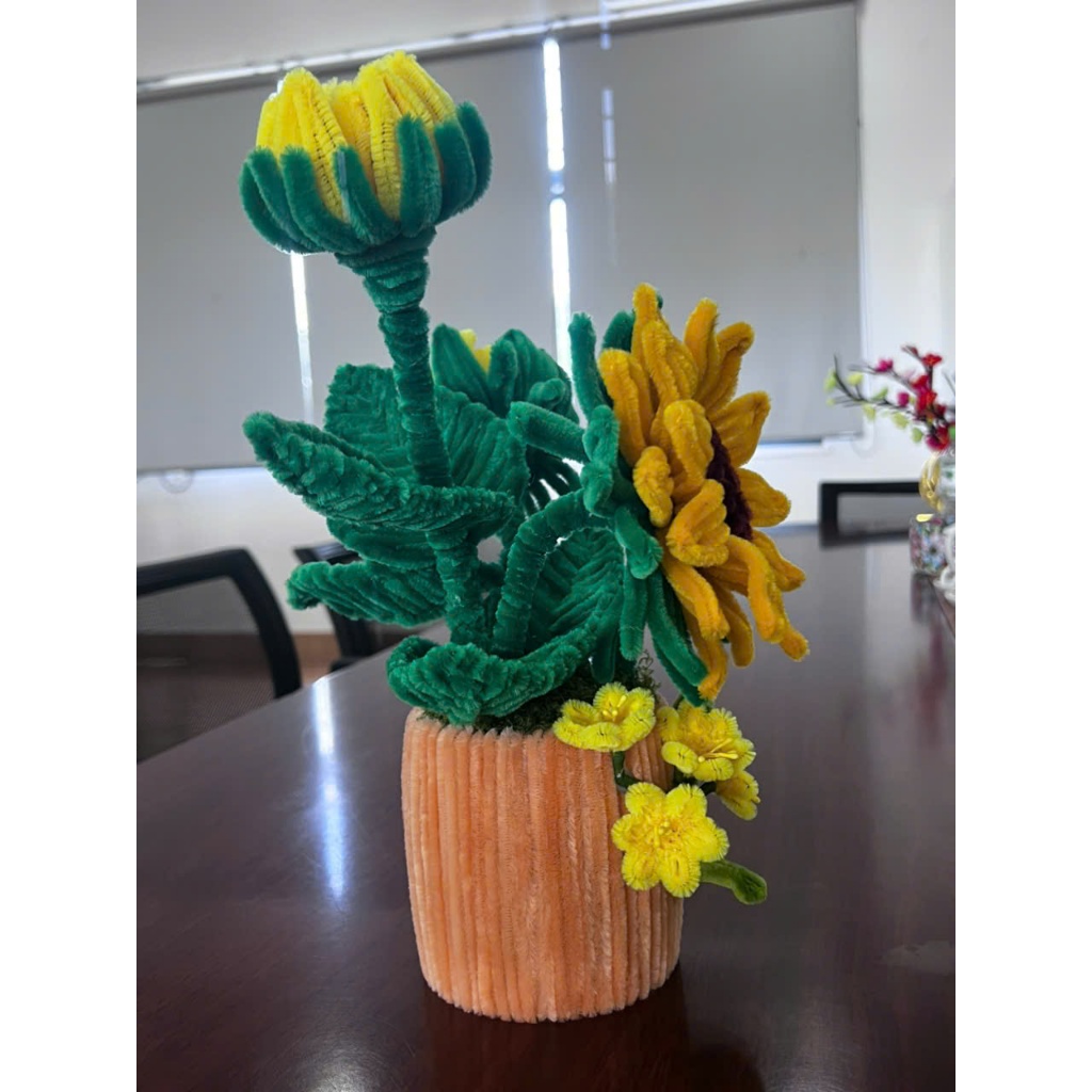 Chậu hoa hướng dương để bàn - kẽm nhung (tặng 01 bọ rùa)