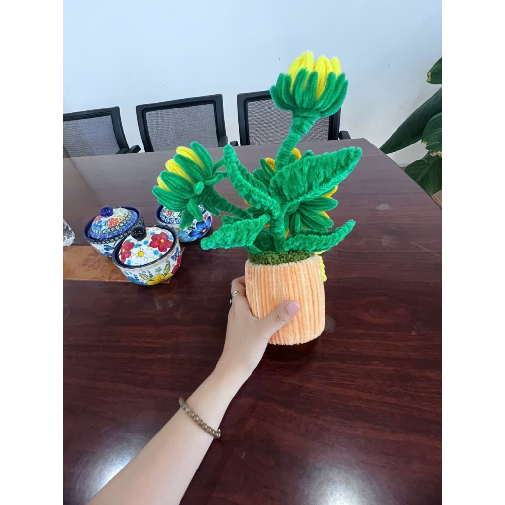 Chậu hoa hướng dương để bàn - kẽm nhung (tặng 01 bọ rùa)