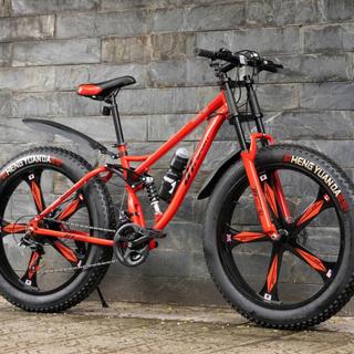 Xe Đạp Bánh Béo DTZ SPORT - Xe Đạp Thể Thao Khung Thép Carbon, Phanh Đĩa Tải Trọng 180kg