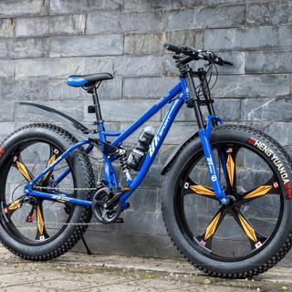 Xe Đạp Bánh Béo DTZ SPORT - Xe Đạp Thể Thao Khung Thép Carbon, Phanh Đĩa Tải Trọng 180kg