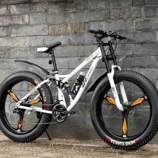 Xe Đạp Thể Thao DTSport Bánh Béo - Xe Khung Thép Carbon, Phanh Đĩa Tải Trọng 180kg Model 2026