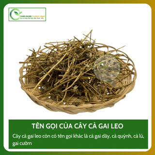 1kg CÀ GAI LEO (Cà Gai Dây) Loại 1, Hỗ Trợ Gan, Tiêu Đờm, Đau Nhức Xương Khớp | Dược liệu Thanh Loan