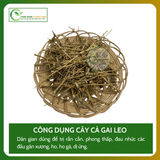 1kg CÀ GAI LEO (Cà Gai Dây) Loại 1, Hỗ Trợ Gan, Tiêu Đờm, Đau Nhức Xương Khớp | Dược liệu Thanh Loan