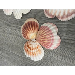 Phụ kiện trái tim vỏ sò