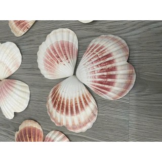 Phụ kiện trái tim vỏ sò