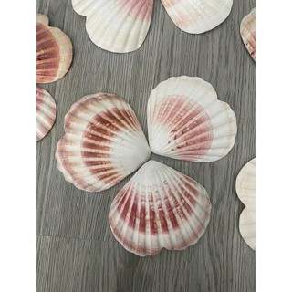 Phụ kiện trái tim vỏ sò