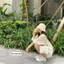 Mũ bucket siêu nhẹ che nắng chống UV