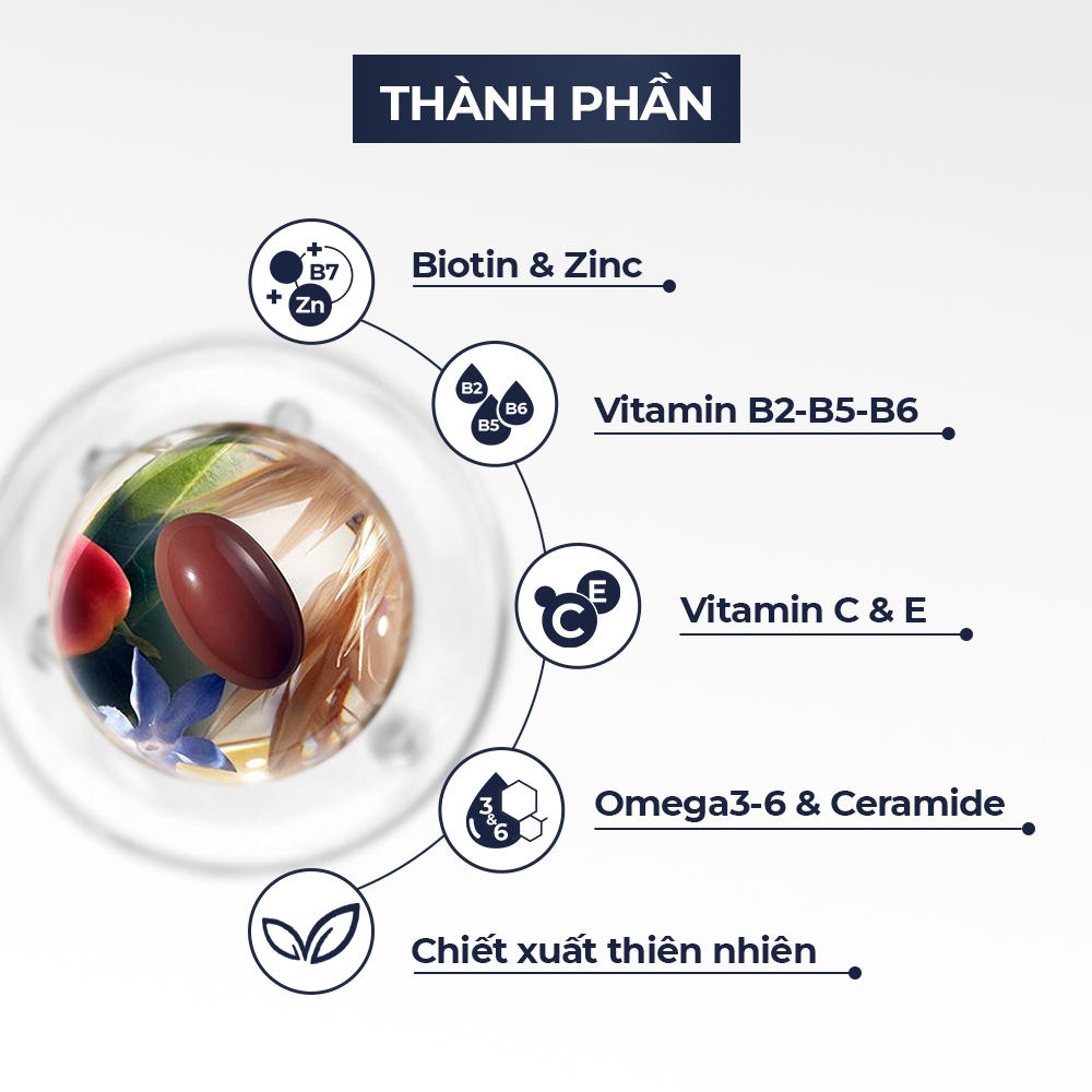 Thực phẩm bảo vệ sức khỏe PHYTO Phanere - Bổ sung Biotin, kẽm giúp hỗ trợ mọc tóc, dưỡng móng chắc khỏe (Hộp120 viên)