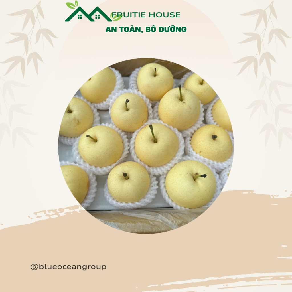 [ Chỉ Giao HCM ] Lê Sữa Nhật - Giòn Ngọt, Bóng Đẹp 1KG