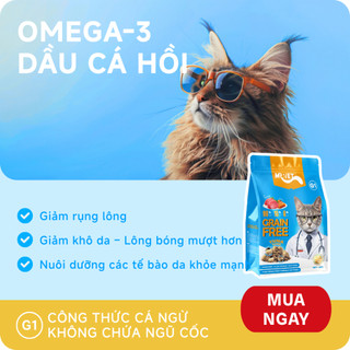 Thức Ăn Cho Mèo MRVET Dạng Hạt G1 Combo 3 Gói 1Kg Không Chứa Ngũ Cốc Cải Thiện Tiêu Hoá Mix Topping
