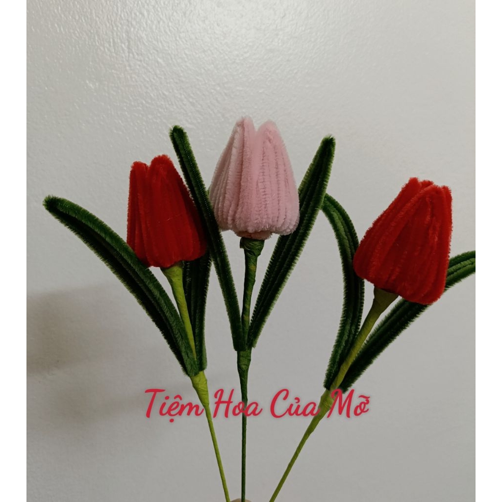 Hoa Tulip Kẽm Nhung Siêu Rẻ, Quà Tặng Siêu Đẹp