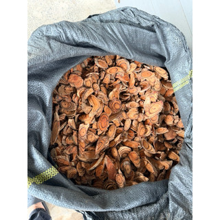 1KG HUYẾT ĐẰNG ( kích thích tiêu hoá, ăn ngon, tăng cân tự nhiên ) hàng sấy lạnh