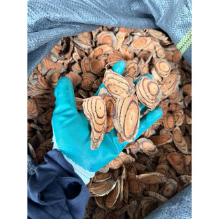1KG HUYẾT ĐẰNG ( kích thích tiêu hoá, ăn ngon, tăng cân tự nhiên ) hàng sấy lạnh