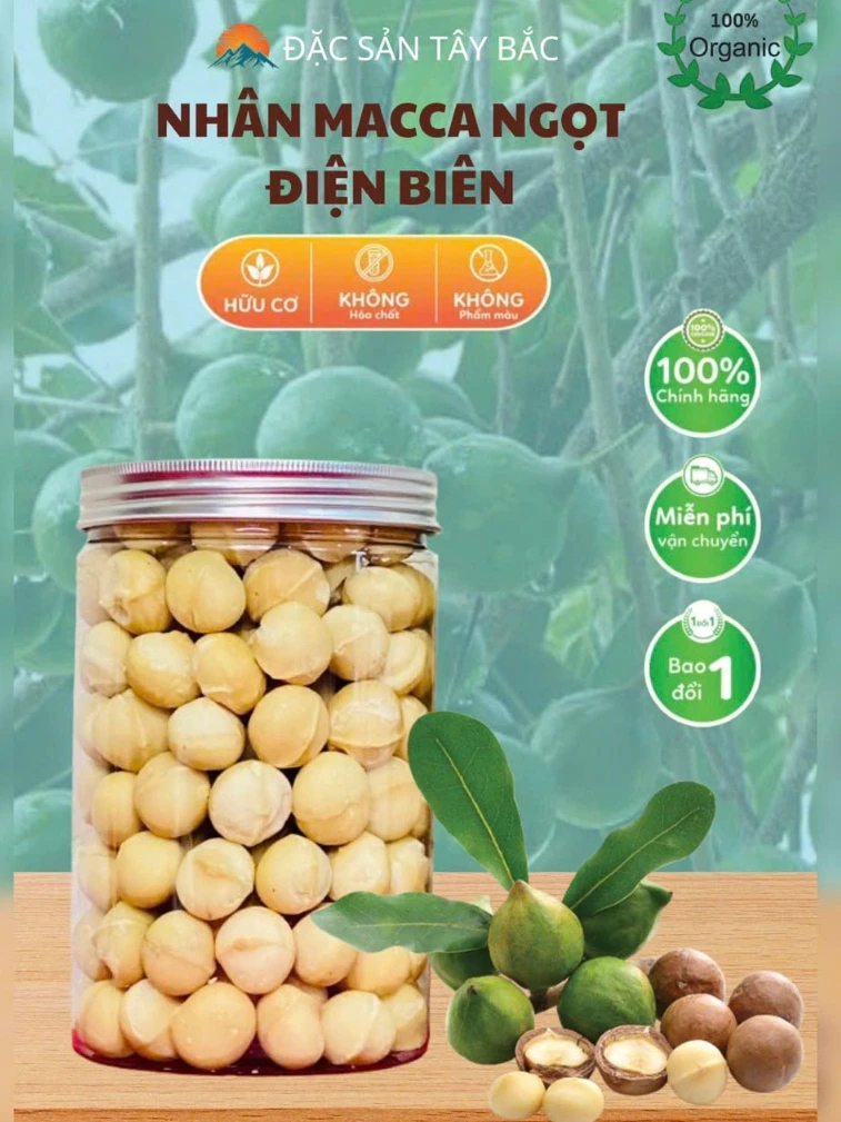 Nhân MACCA Điện Biên Sấy 500g, Hạt Sấy Dinh Dưỡng Thơm Ngon