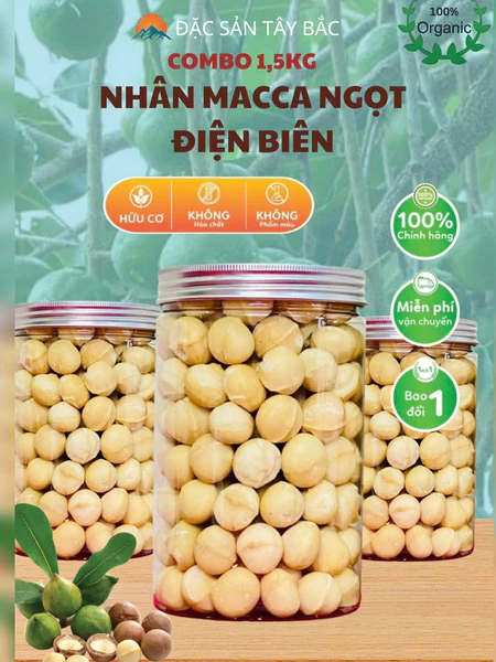 Combo 1,5kg Nhân Hạt MACCA Điện Biên Sấy