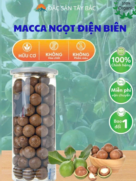 Hạt Macca Tây Bắc Sấy Giòn Tách kẽ 500g – Hạt Nứt Sẵn, Giòn Béo Ngọt chỉ có vùng Quài Nưa mới có