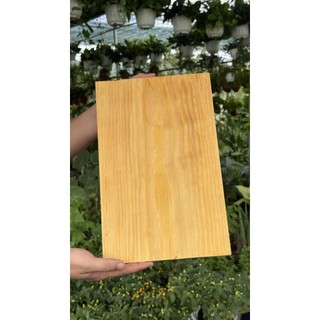 Sơn gỗ 5kg gốc nước, không pha thêm dung môi, an toàn, không hôi - Watix lau gỗ