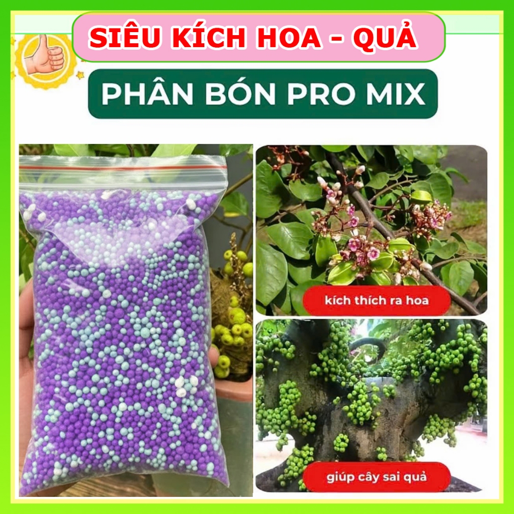 Phân Bón Promix giúp cây ra sai hoa và sai quả, Hỗn hợp dinh dưỡng kích ...