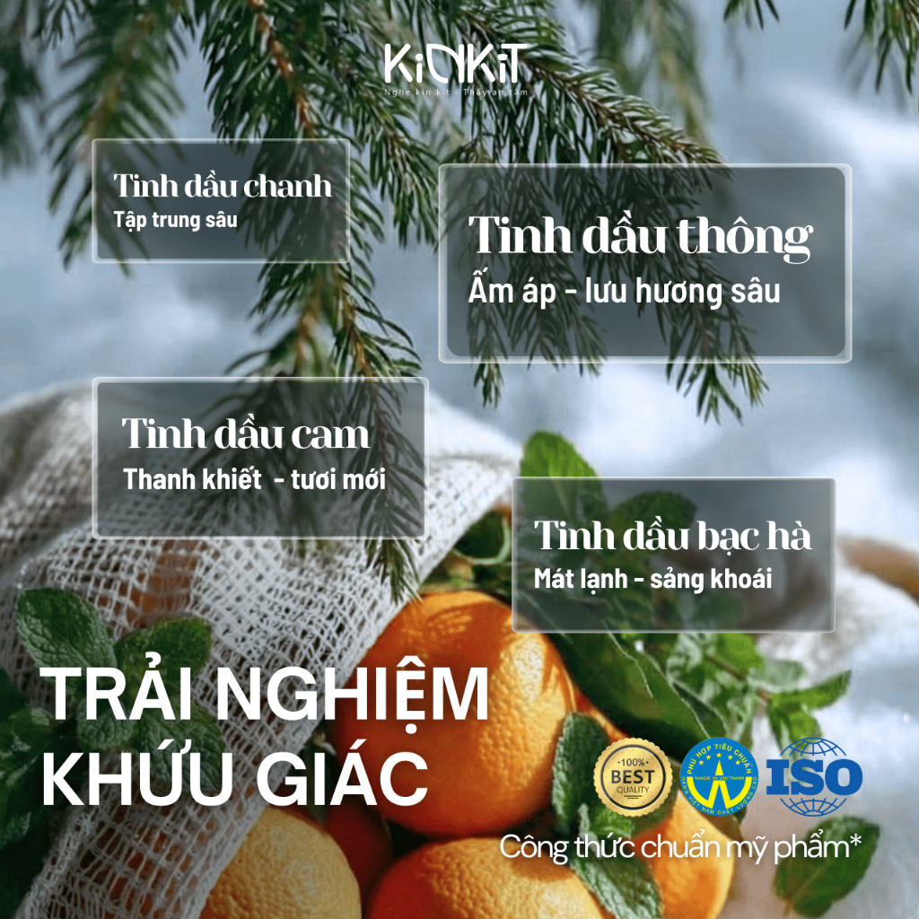 Sử Dụng Cây Ô Trong Đời Sống