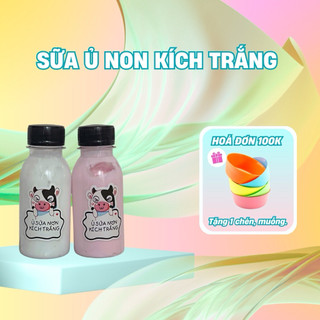 Sữa ủ non kích trắng ( cô đặc ) 100ml/ dụng cụ trộn bột