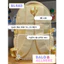 BaLo (XINHXINH) [ORDER] Balo Nữ Thời Trang Đi Học Dung Tích Lớn Không Thấm Nước Có Ngăn Lưới Trong Suốt BL483