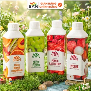 Syrup/siro trái cây SAN chai 1Kg, mẫu thử 100ml, tặng công thức pha chế, chuẩn nguyên liệu pha chế