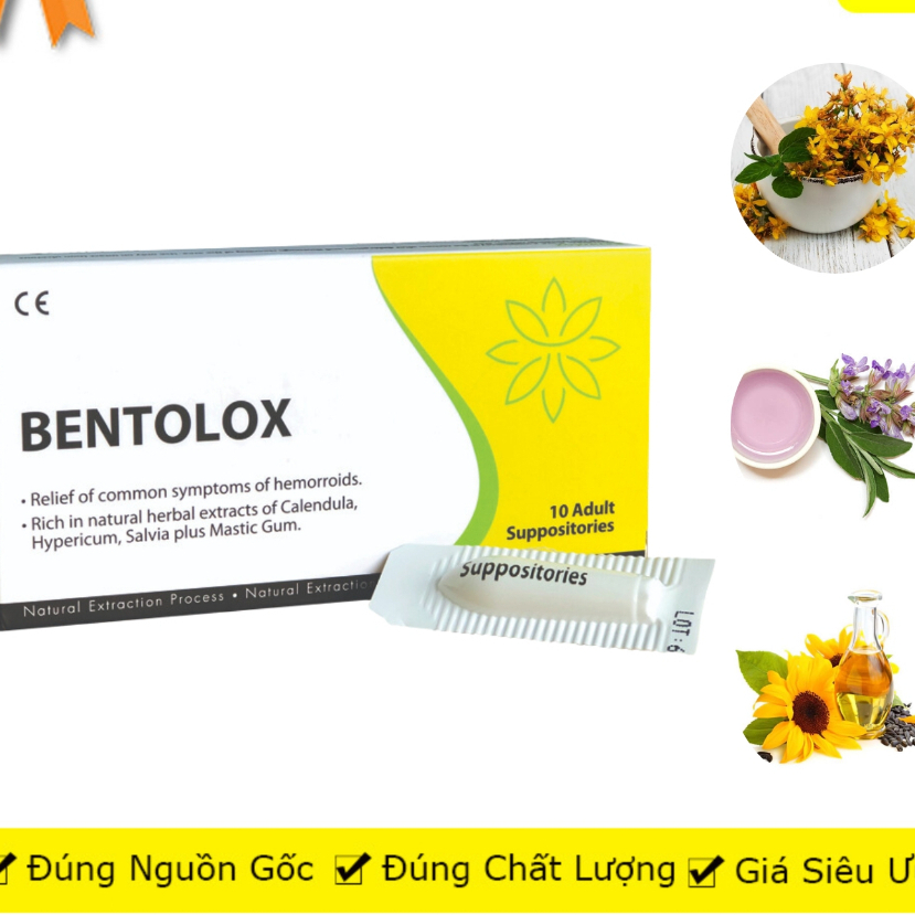 Combo 2 Hộp Bentolox hỗ trợ tình trạng trĩ trong thời kỳ mang thai hoặc sau sinh hộp 10 viên