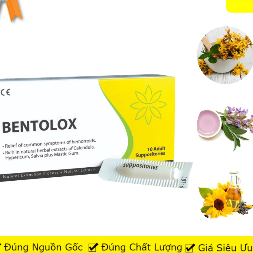 Combo 2 Hộp Bentolox hỗ trợ tình trạng trĩ trong thời kỳ mang thai