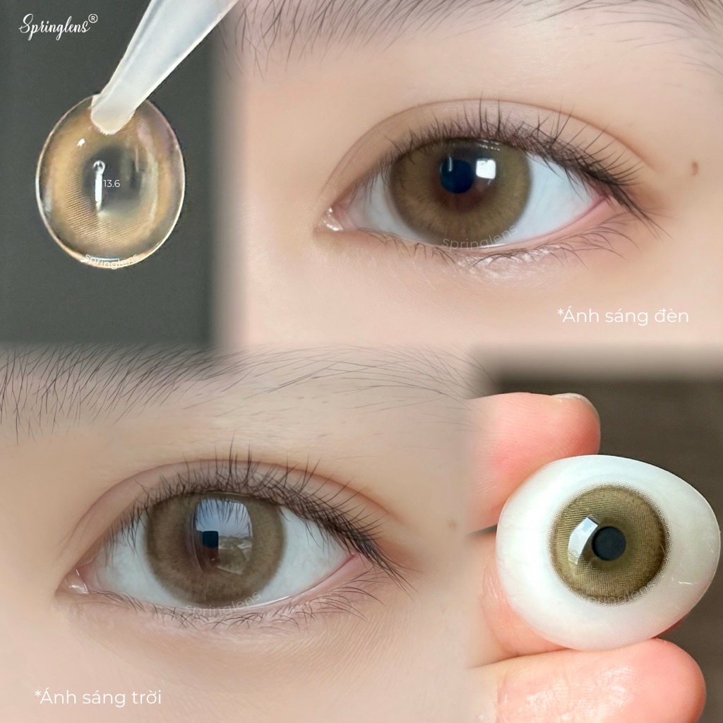 Kính áp tròng nâu trà Bubble Brown viền nhẹ có giãn tròng 3 tháng 0-7 độ | Spring Lens
