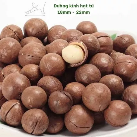Hạt macca tách vỏ Tươi Nguyên Farm, 500g hạt mắc ca sấy nứt vỏ size nhỏ, không hôi dầu, thơm giòn béo