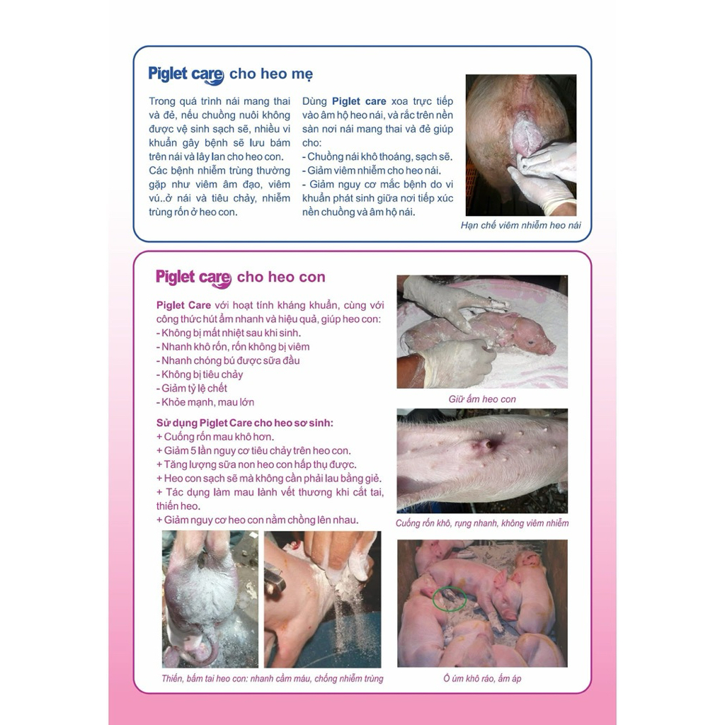 Bột lăn heo, giữ ấm heo con, hút ẩm, sát trùng, Vemedim PIGLET CARE gói (1kg)