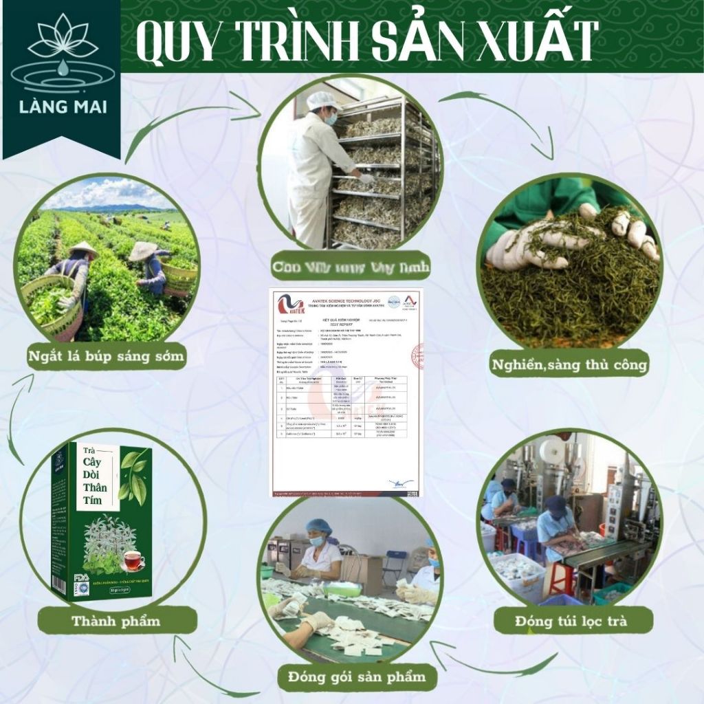 Trà Cải Thiện Hệ Hô Hấp - Làng Mai - Cây Dòi Thân Tím (cây bọ mắm) Bổ Phổi, Giảm Ho, Thanh Phế, Thải Độc Gan.