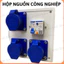 Hộp nguồn công nghiệp 16A,hộp điện công trường,ổ phích cắm công nghiệp,hộp điện thi công,taplo công nghiệp.bộ chia nguồn