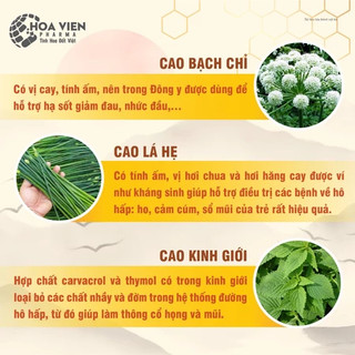 Siro Sổ Mũi, giúp Giải Cảm, Giảm Ho, Giảm Đờm, hạn chế Hắt Hơi Sổ Mũi do lạnh - Siro Somui Zincacool