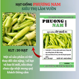 20 Hạt - Hạt Giống Ớt Huế F1 Phương Nam