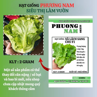 2 Gram - Hạt Giống Xà Lách Sang Chu
