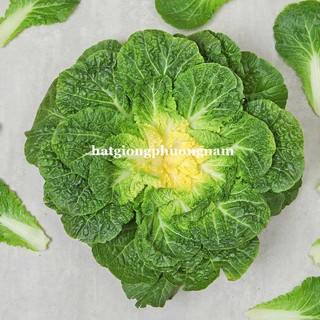 0.5 Gram - Hạt Giống Cải BomDong Hàn Quốc