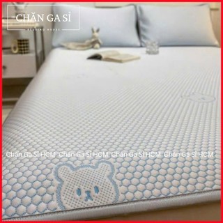 🐻MỚI💙Bộ Ga Gối 3 Món Băng Lạnh Nằm Siêu Mát In 5D Phong Cách Hàn Quốc _ Chăn Ga Sỉ HCM