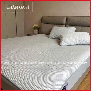 🐻MỚI💙Bộ Ga Gối 3 Món Băng Lạnh Nằm Siêu Mát In 5D Phong Cách Hàn Quốc _ Chăn Ga Sỉ HCM