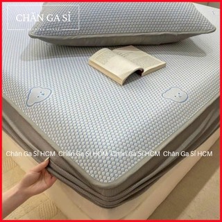 🐻MỚI💙Bộ Ga Gối 3 Món Băng Lạnh Nằm Siêu Mát In 5D Phong Cách Hàn Quốc _ Chăn Ga Sỉ HCM