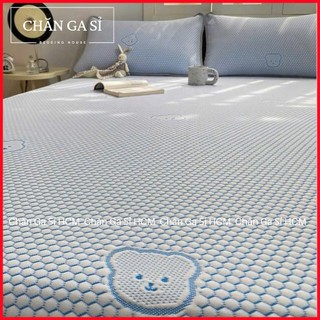 🐻MỚI💙Bộ Ga Gối 3 Món Băng Lạnh Nằm Siêu Mát In 5D Phong Cách Hàn Quốc _ Chăn Ga Sỉ HCM